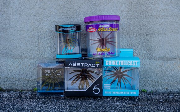 A lineup of the best urchin baits