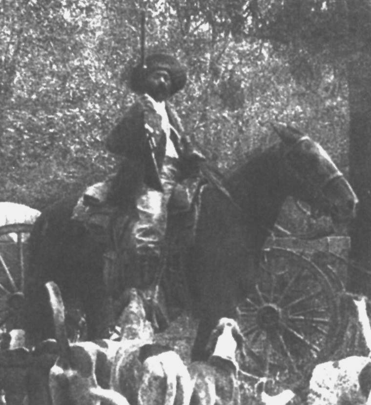 holt collier