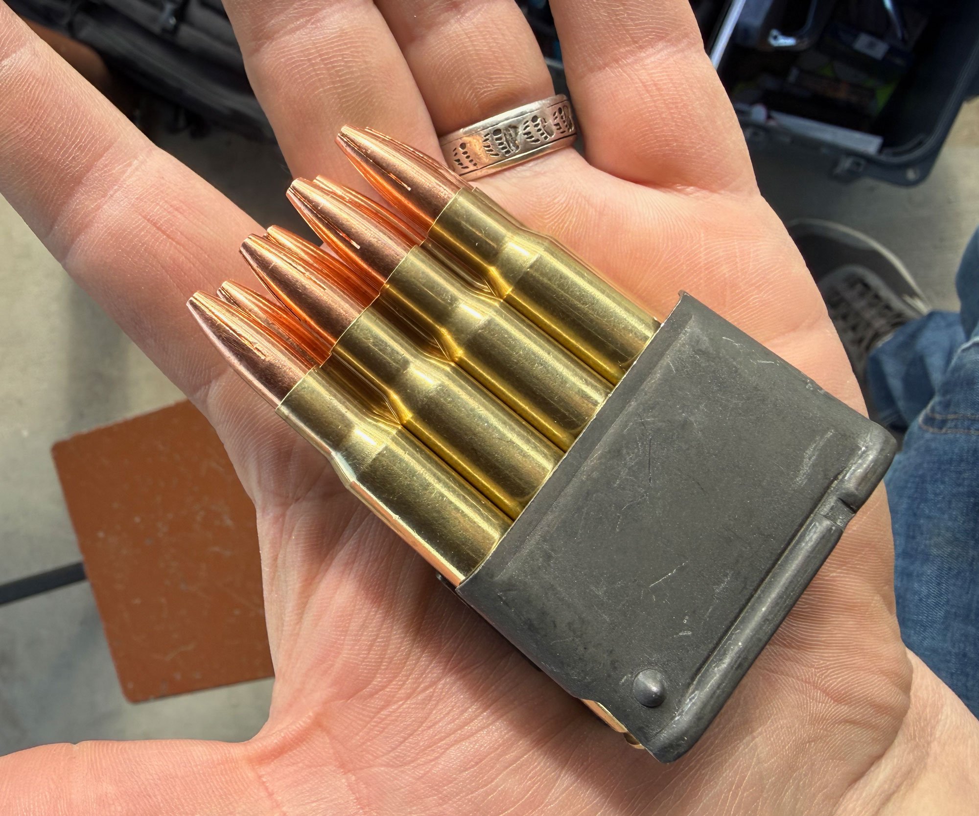 M1 garand clip with hunting ammo