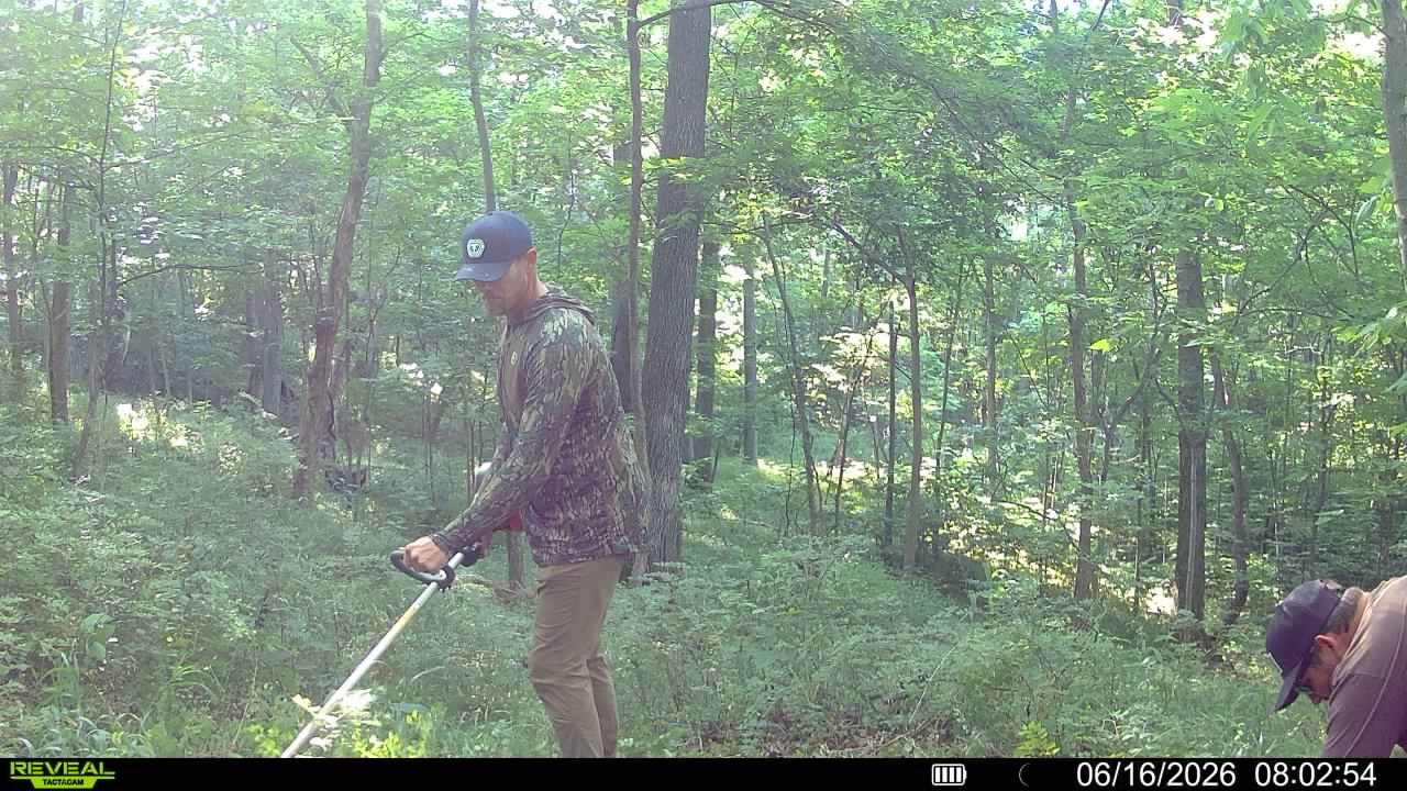 cutting deer trails