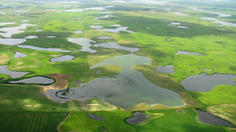 the prairie pothole region while green