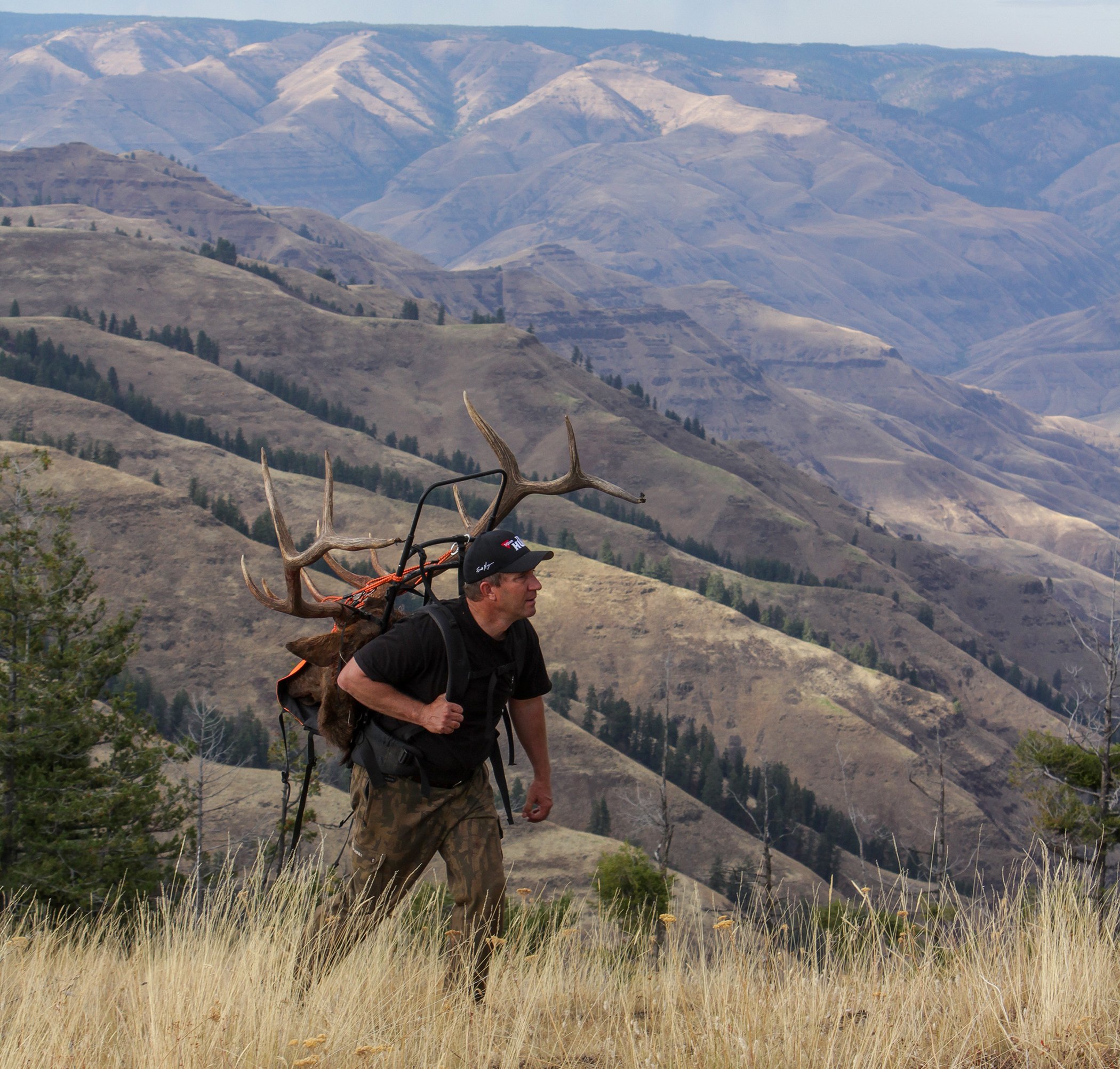 elk hunting