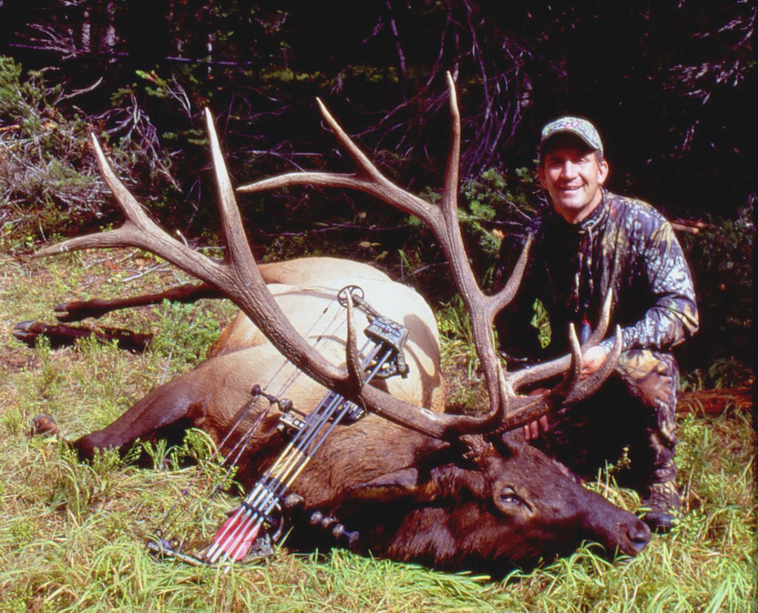 elk hunting the west