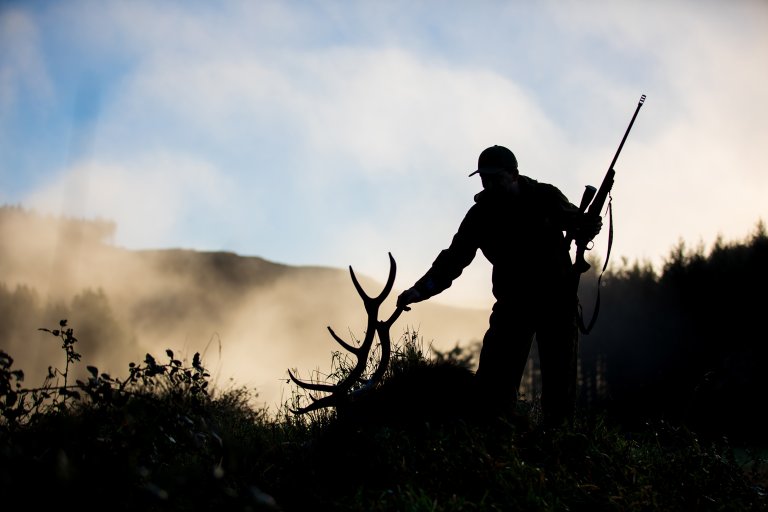 elk hunting the west