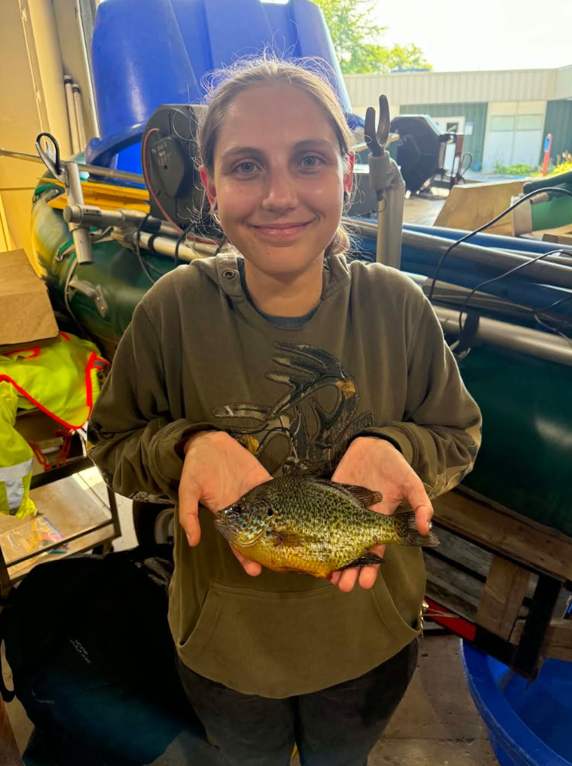 record pumpkinseed fish