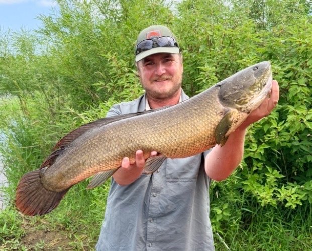 Erb with a bowfin