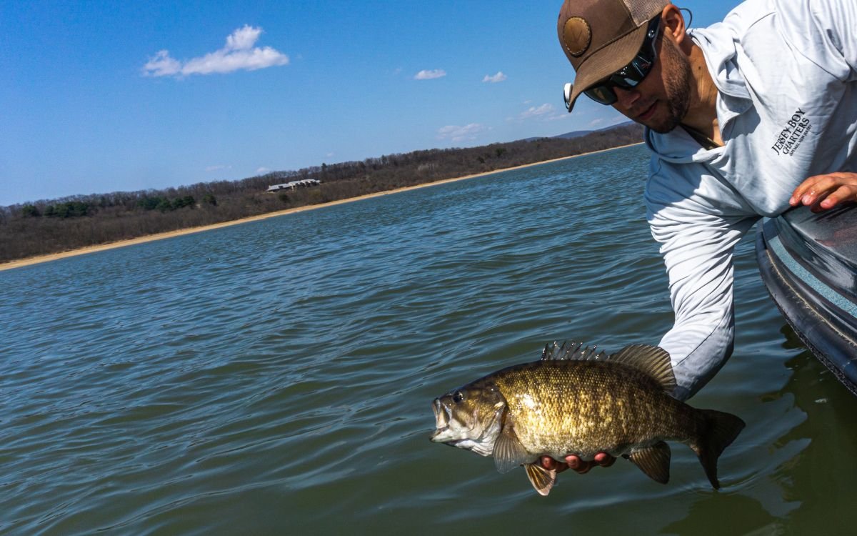 The author releasing a big smallmouth bass from his boat
