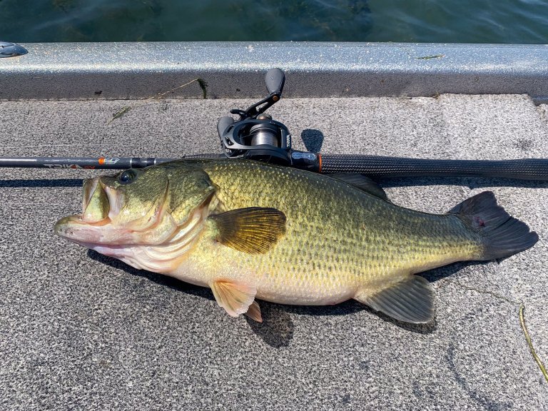 A reel spooled with fluorocarbon beside a nice big bass.