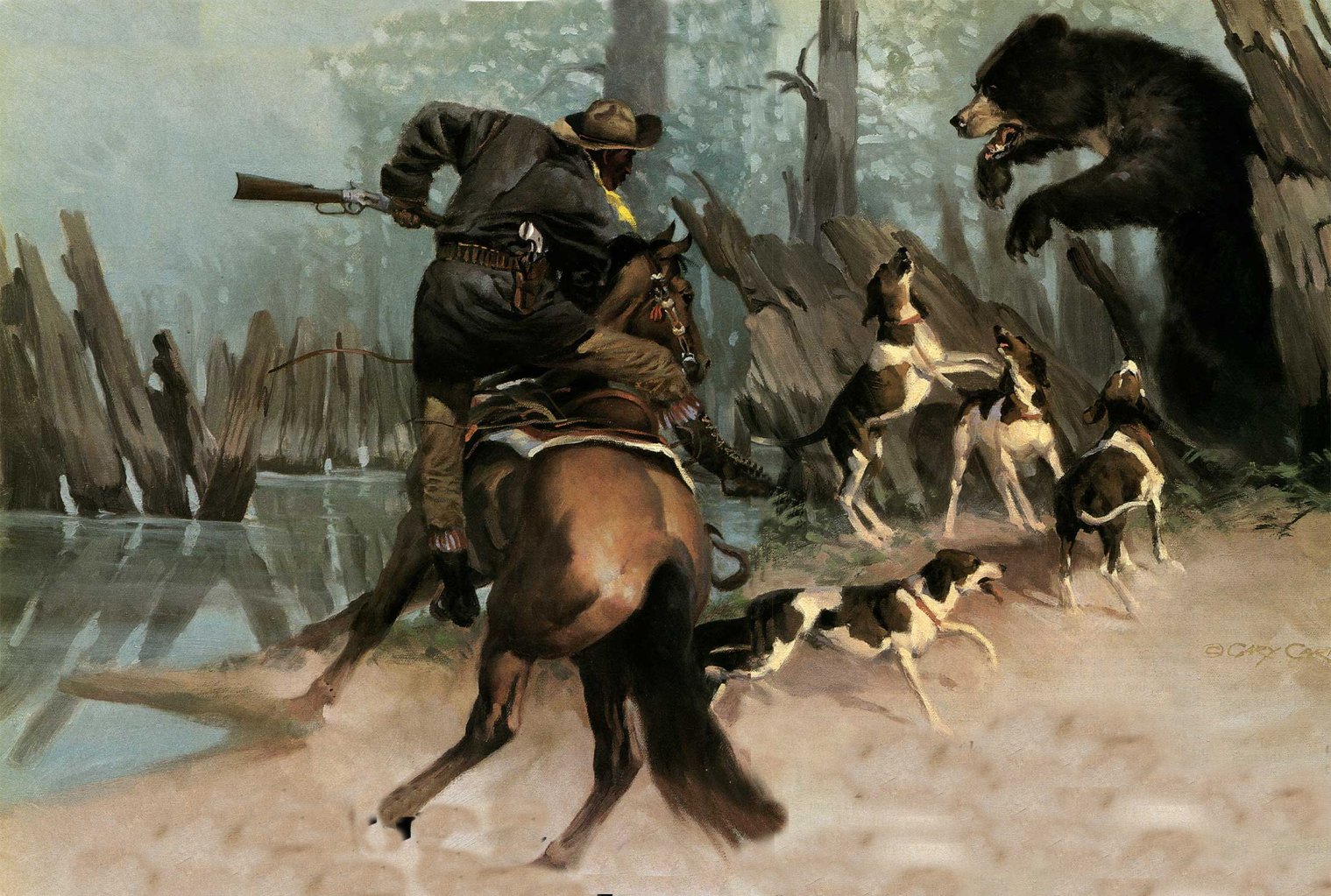 black bear hunt holt collier