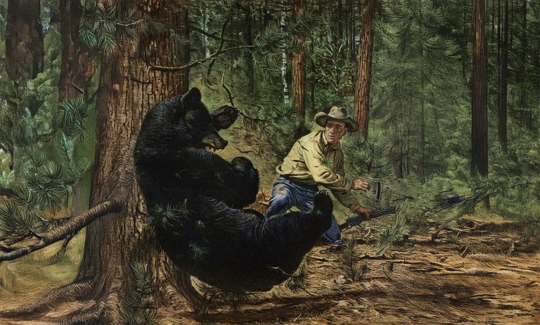black bear hunt