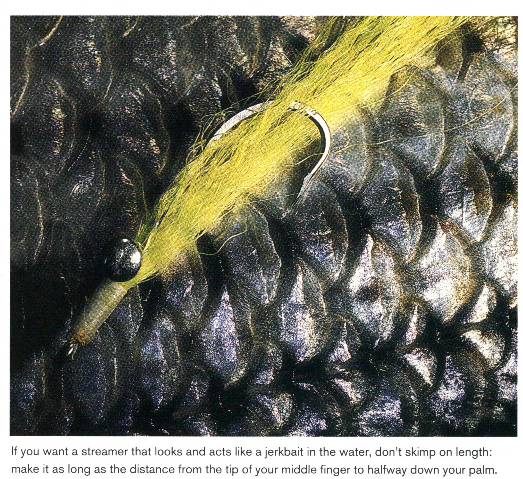 fall bass flies