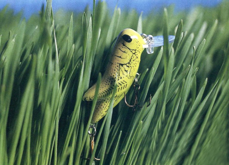 bug baits