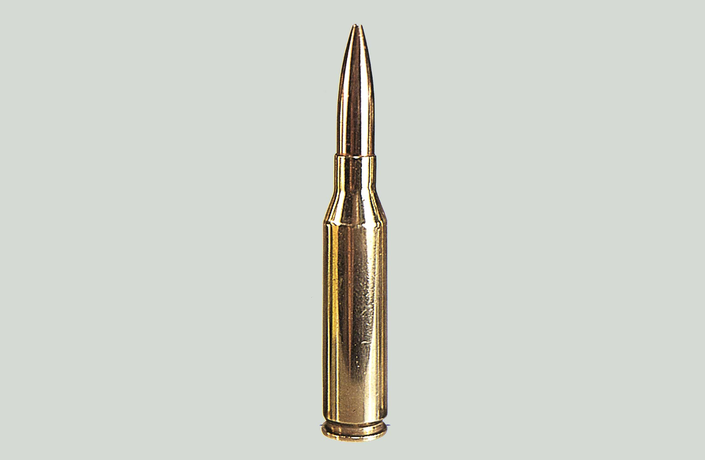 the 6.5 panther