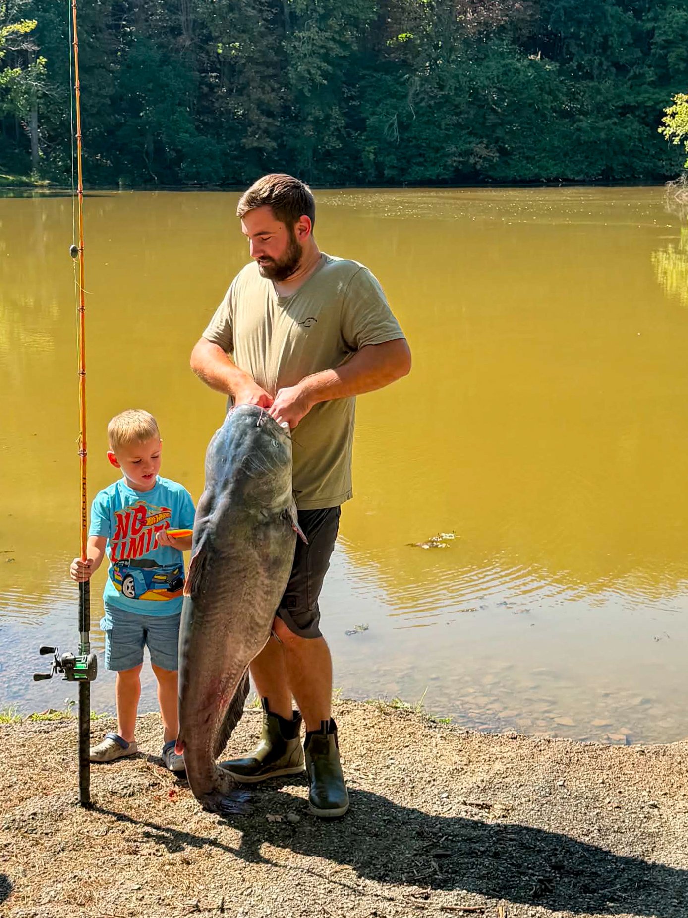 A photo of a man holding up a big blue catfish.