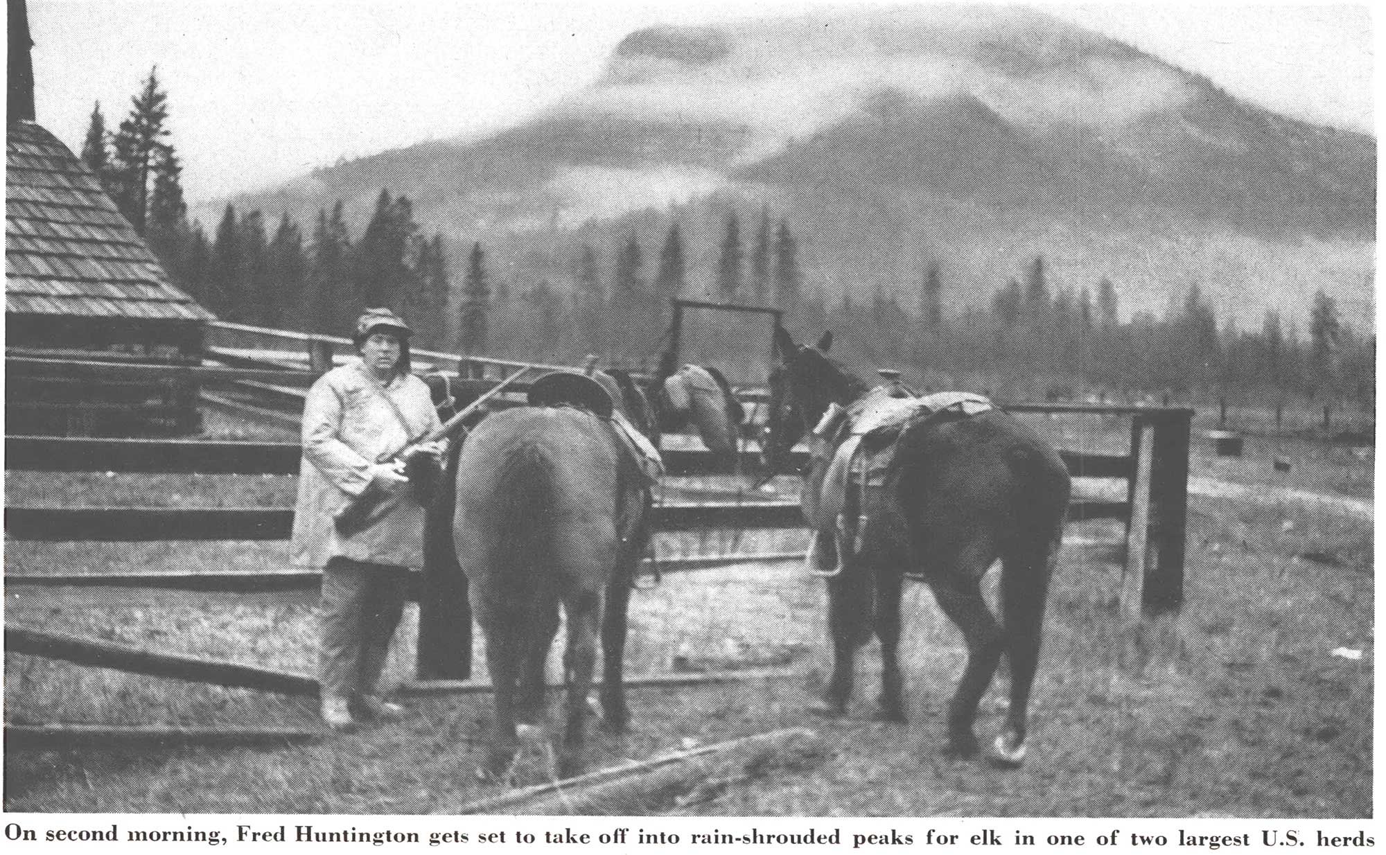 elk hunting