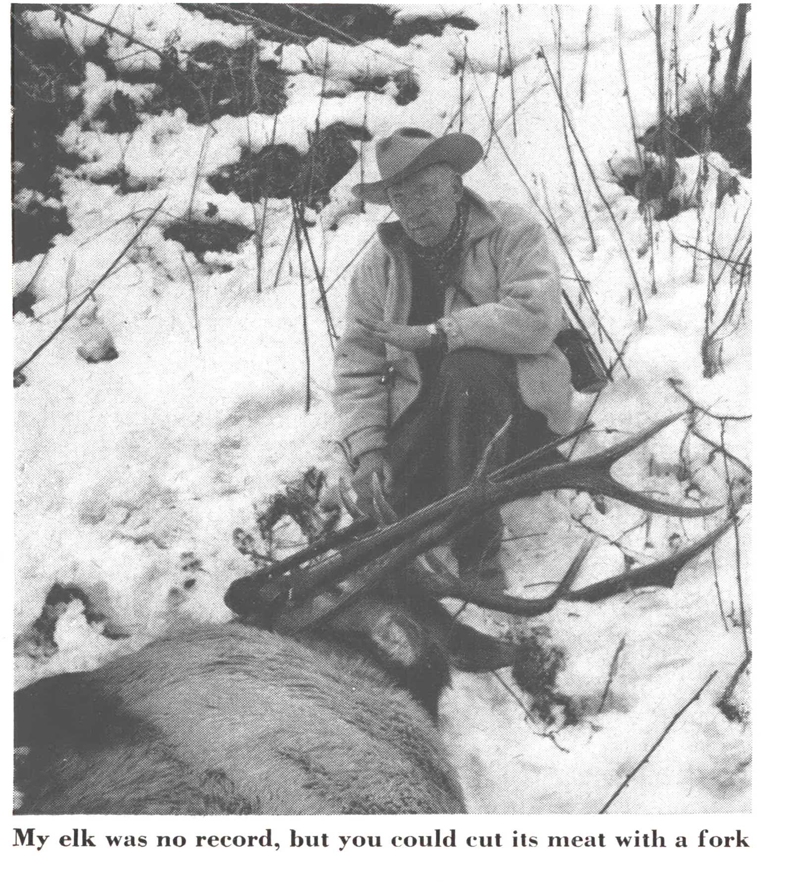 elk hunting