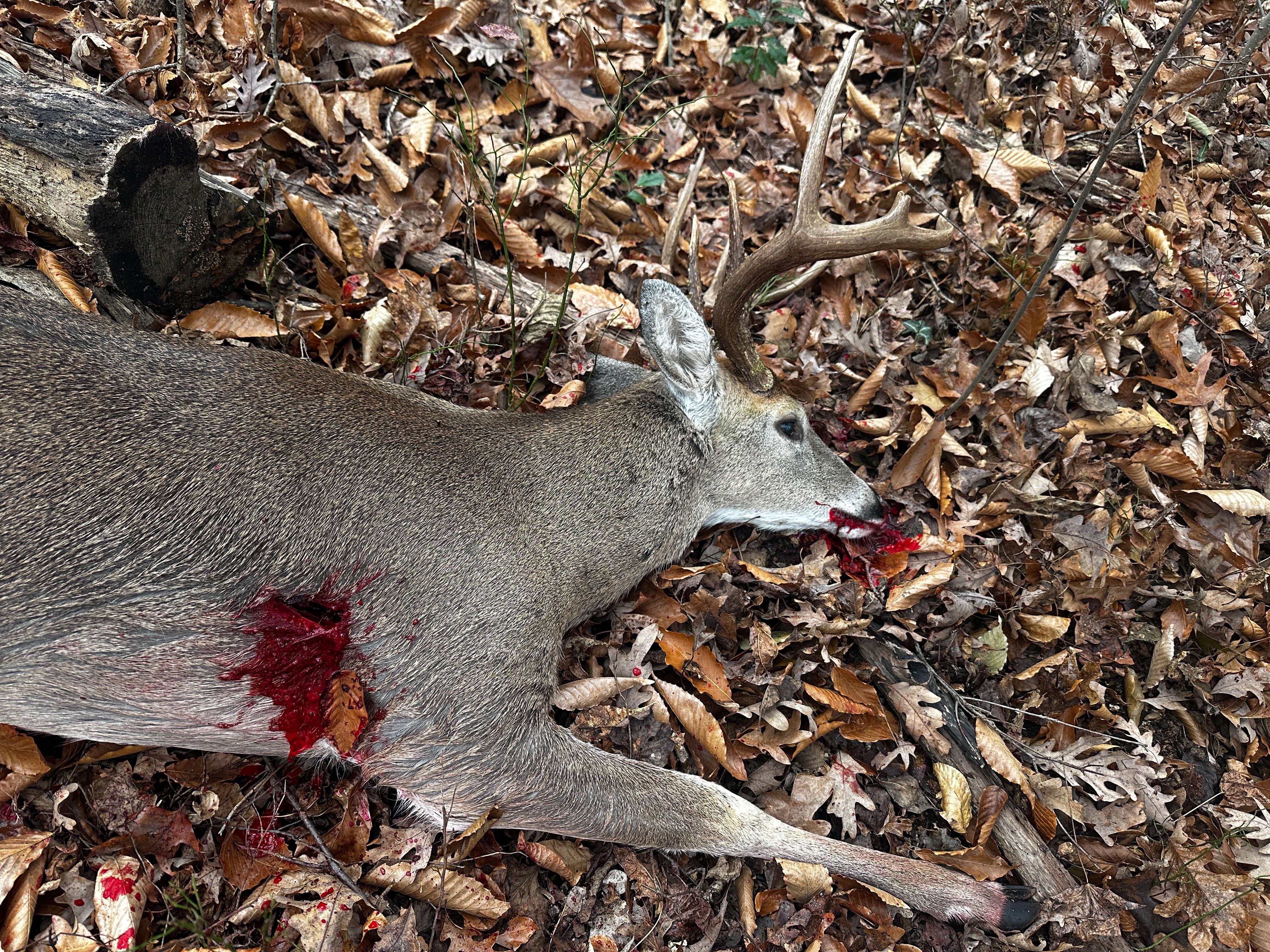 Exit wound