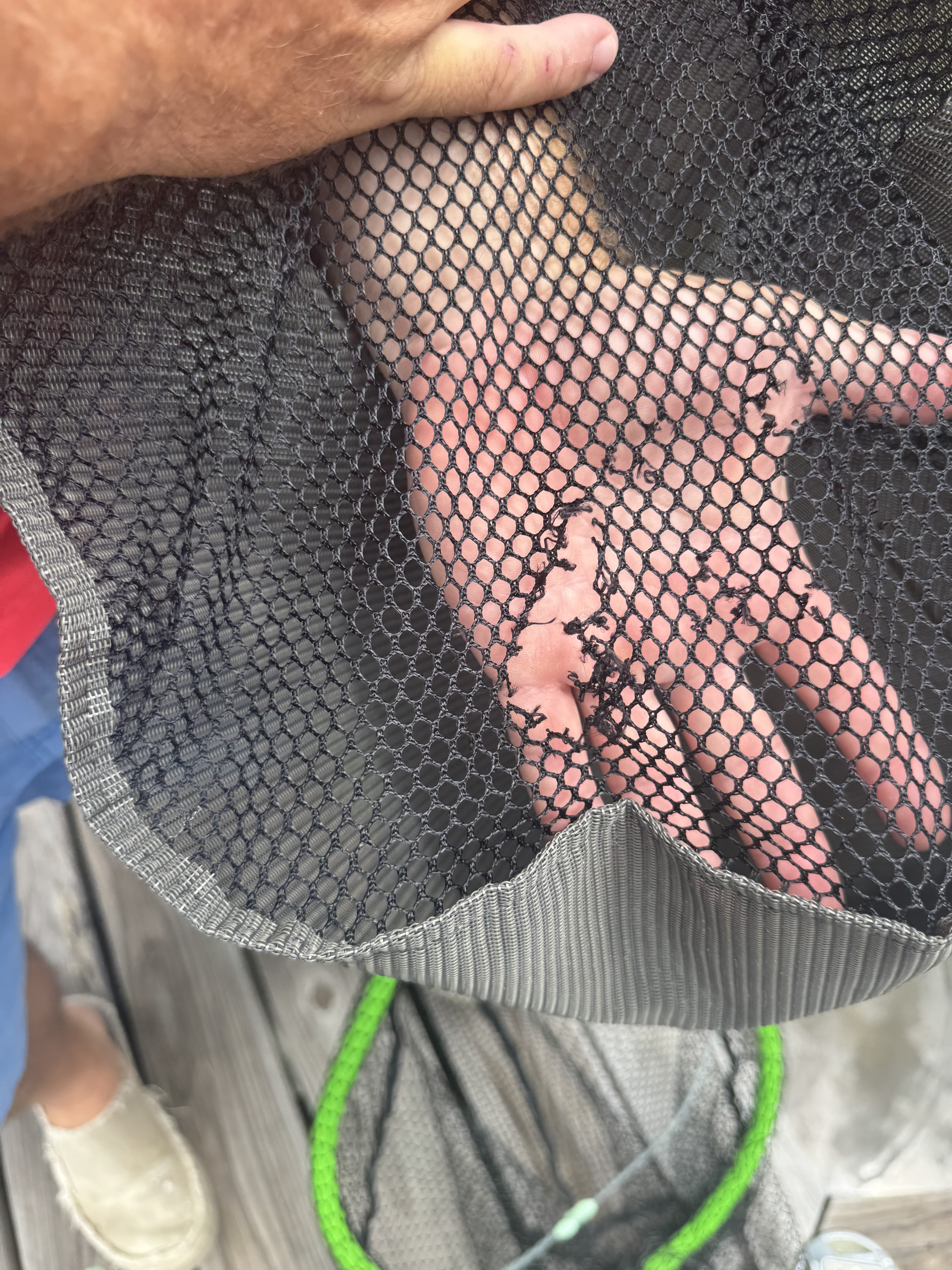 fish bag bite