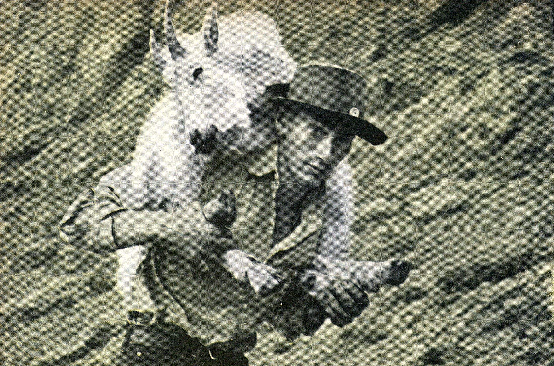 mountain goat hunting