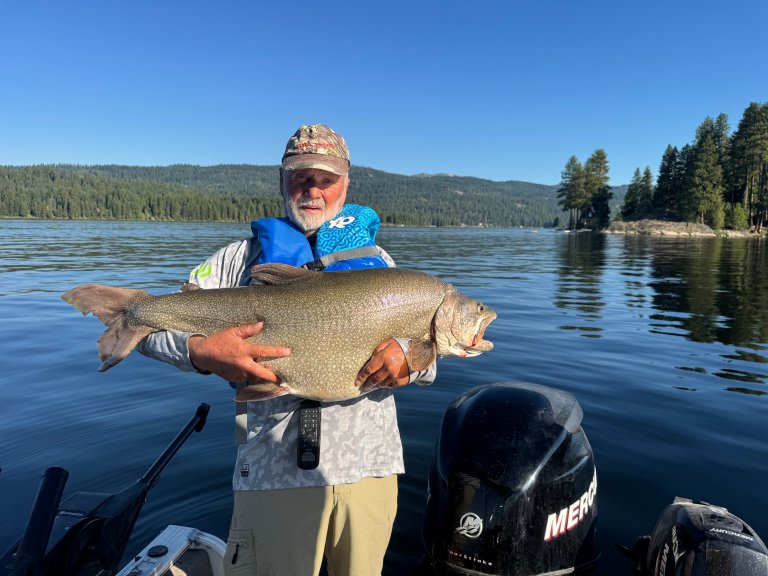 record lake trout