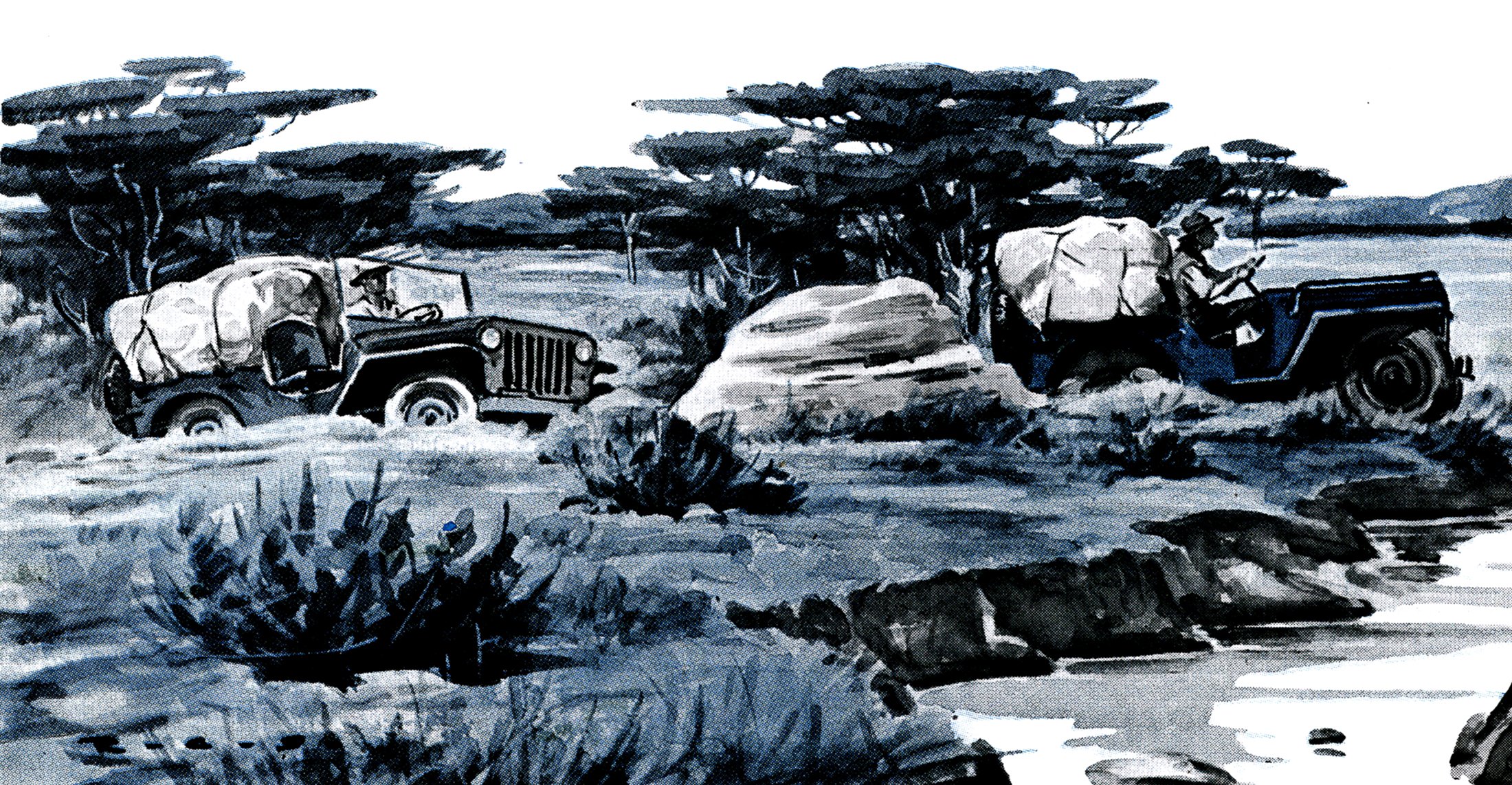 african safari