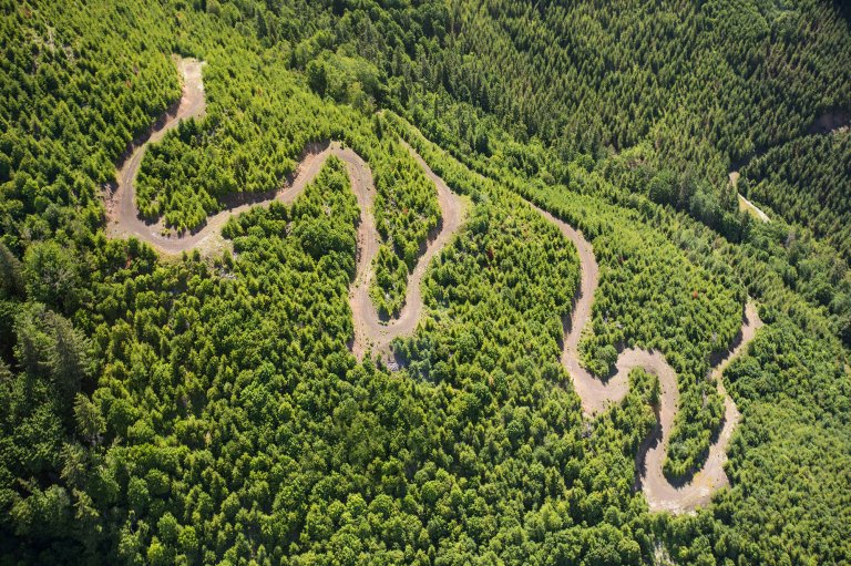 A U.S. Forest service logging road