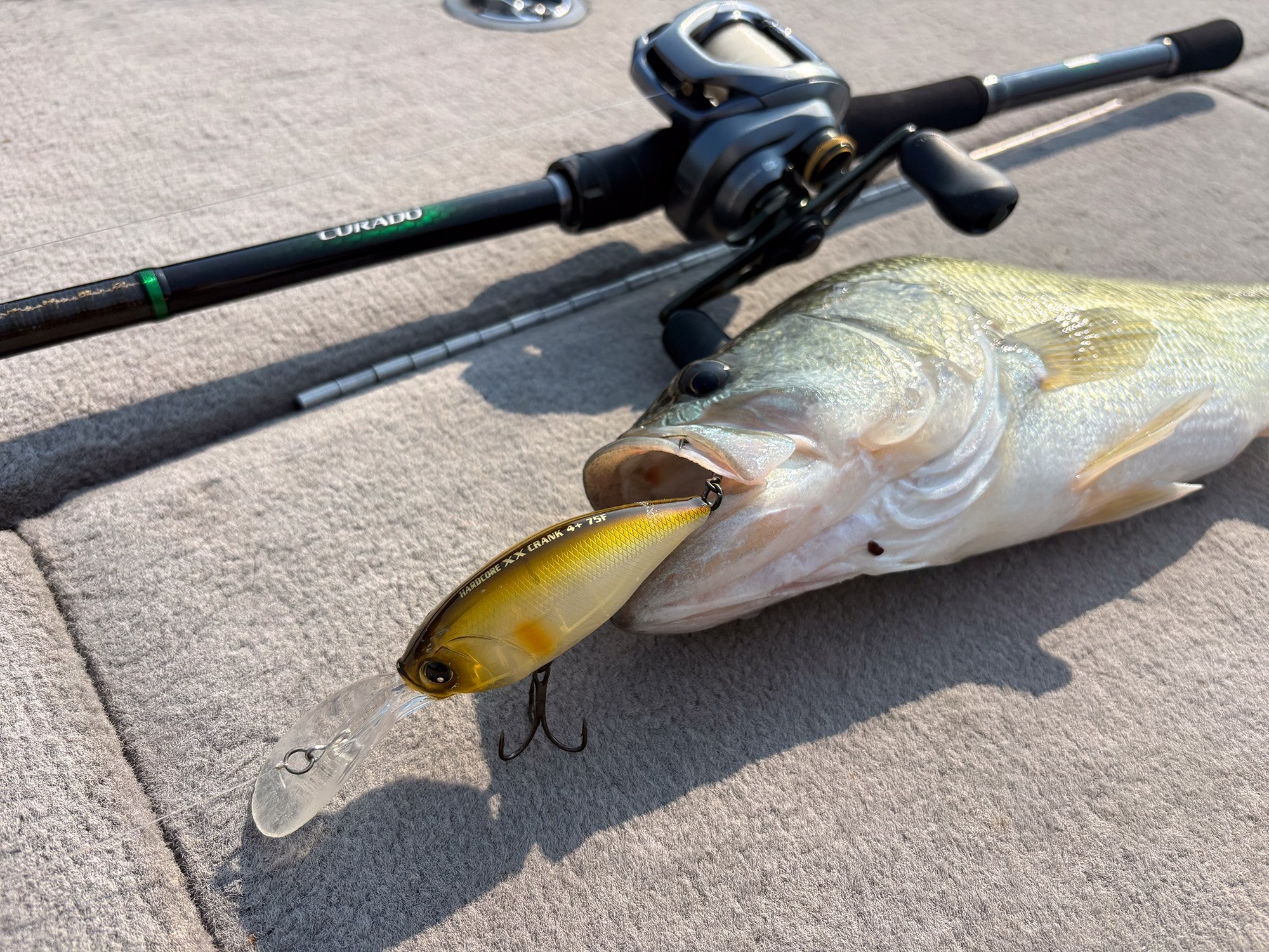 A crankbait in a bass's mouth beside a reel spun with fluorocarbon.