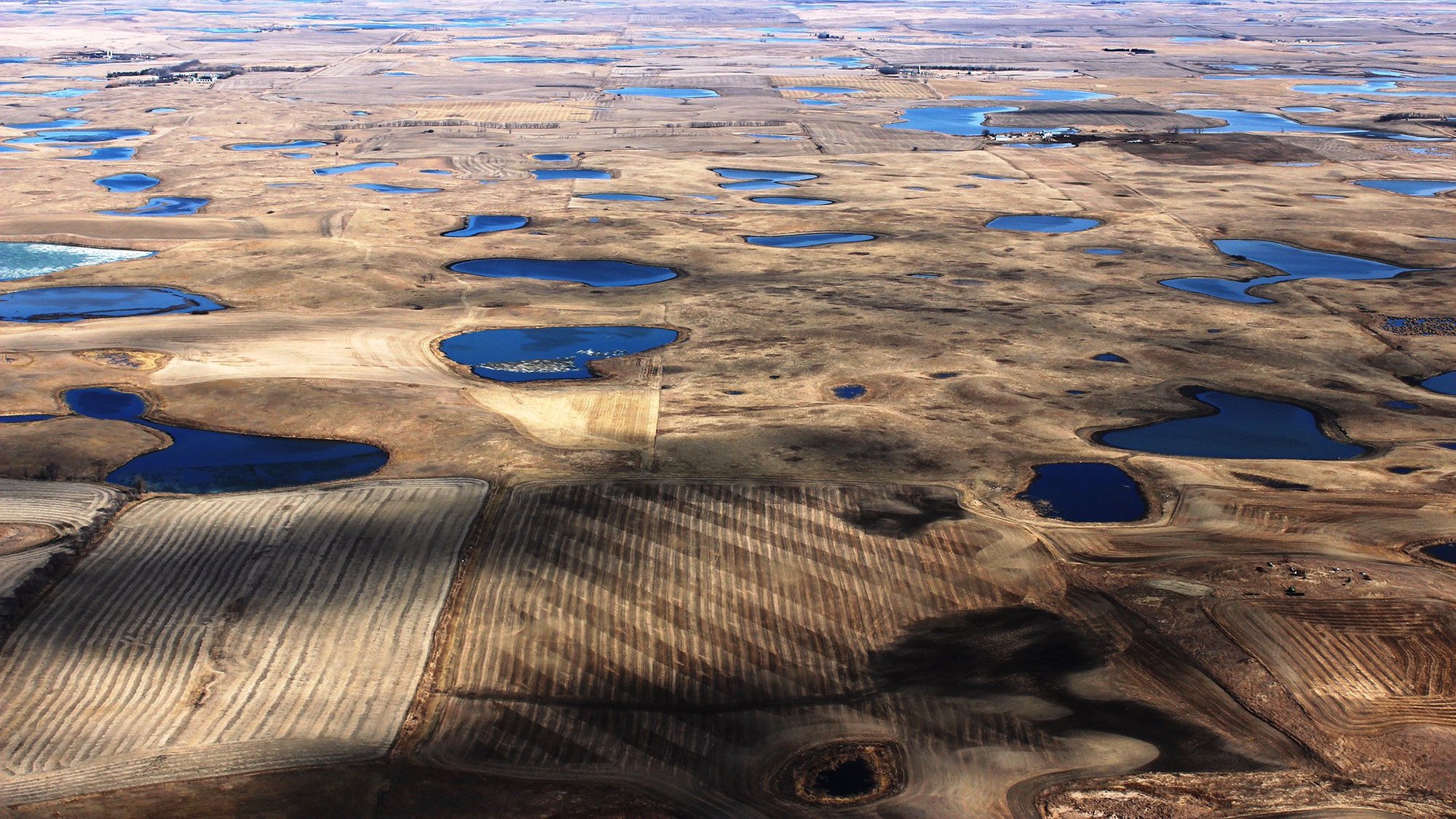 An aerial view of the PPR duck factory.