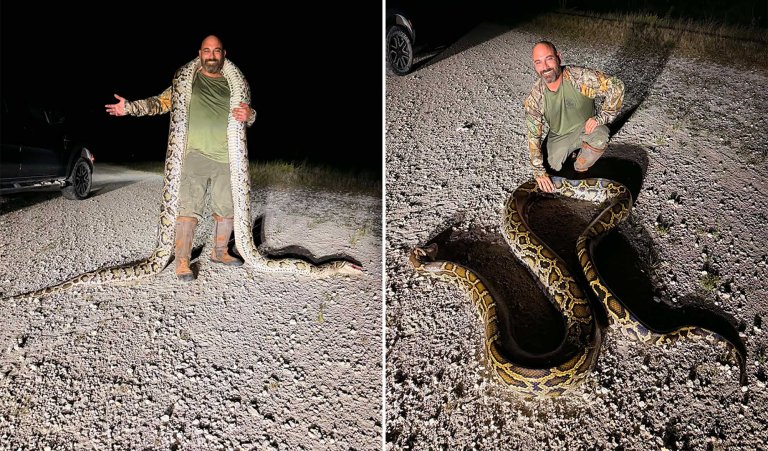 python challenge