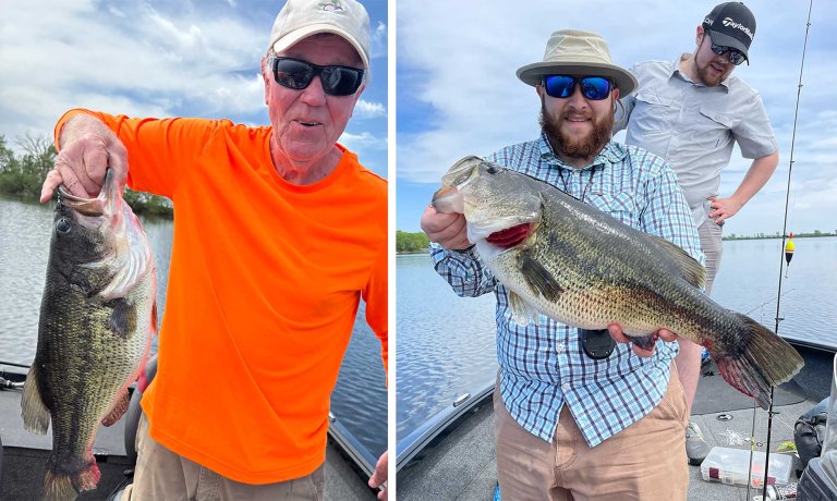 record bass