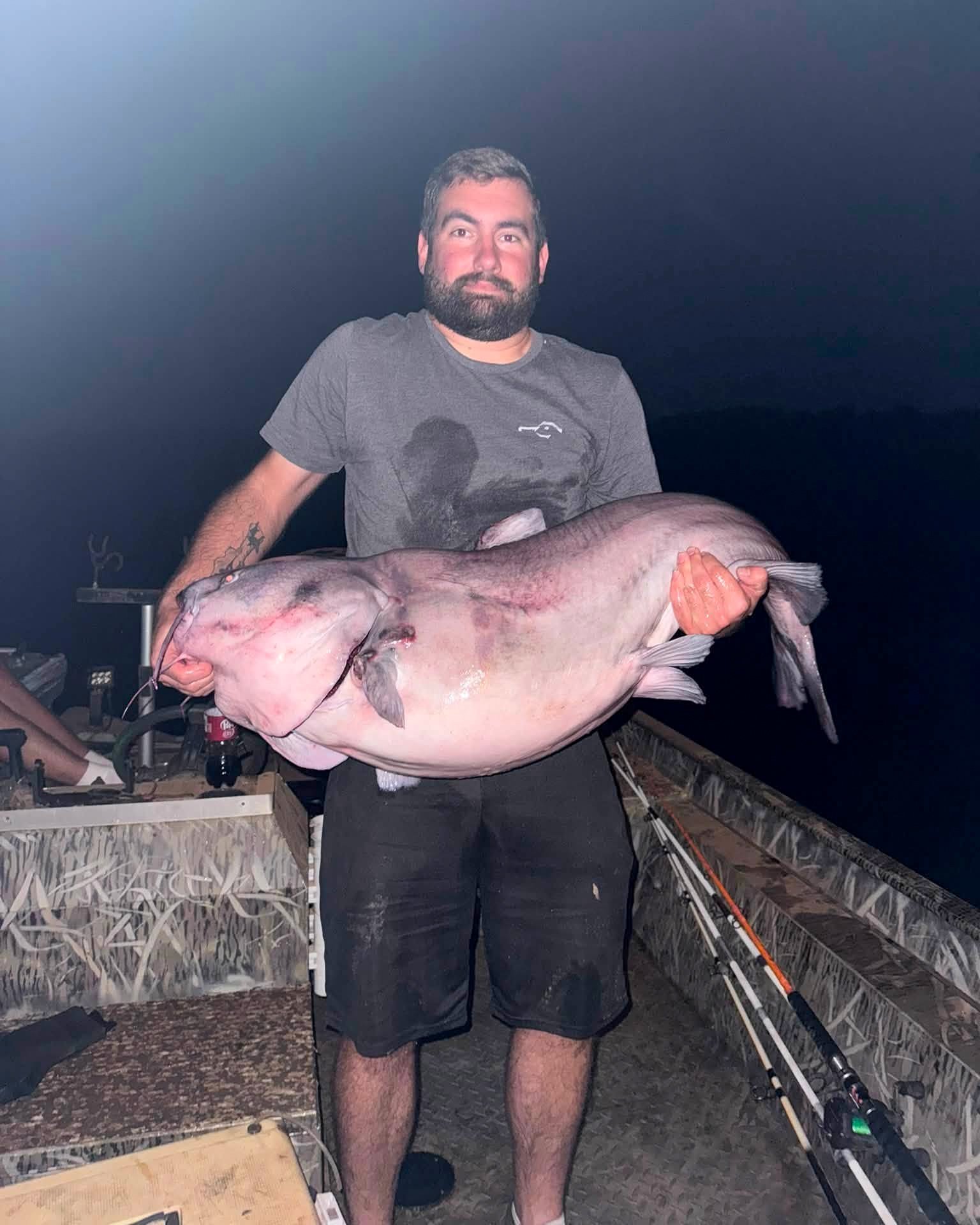 A man holds up a big blue catfish with a sagging belly