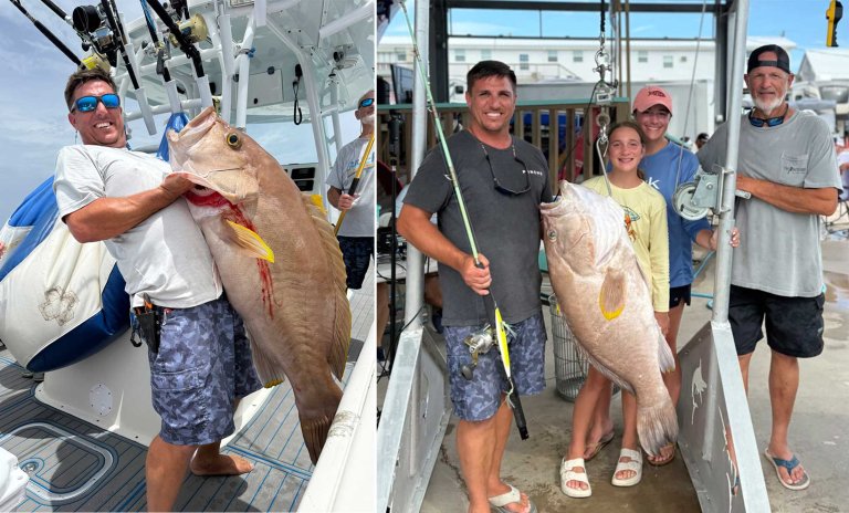 record grouper