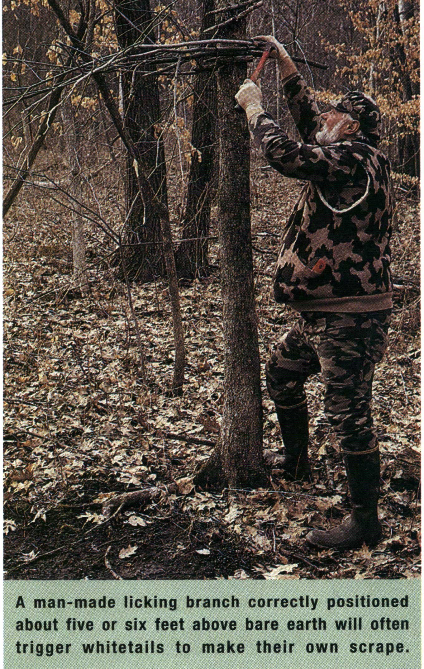 making a mock scrape
