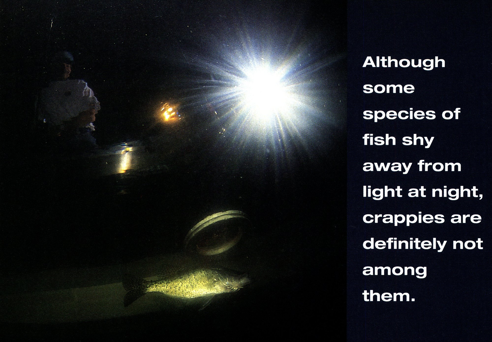 crappie fishing at night