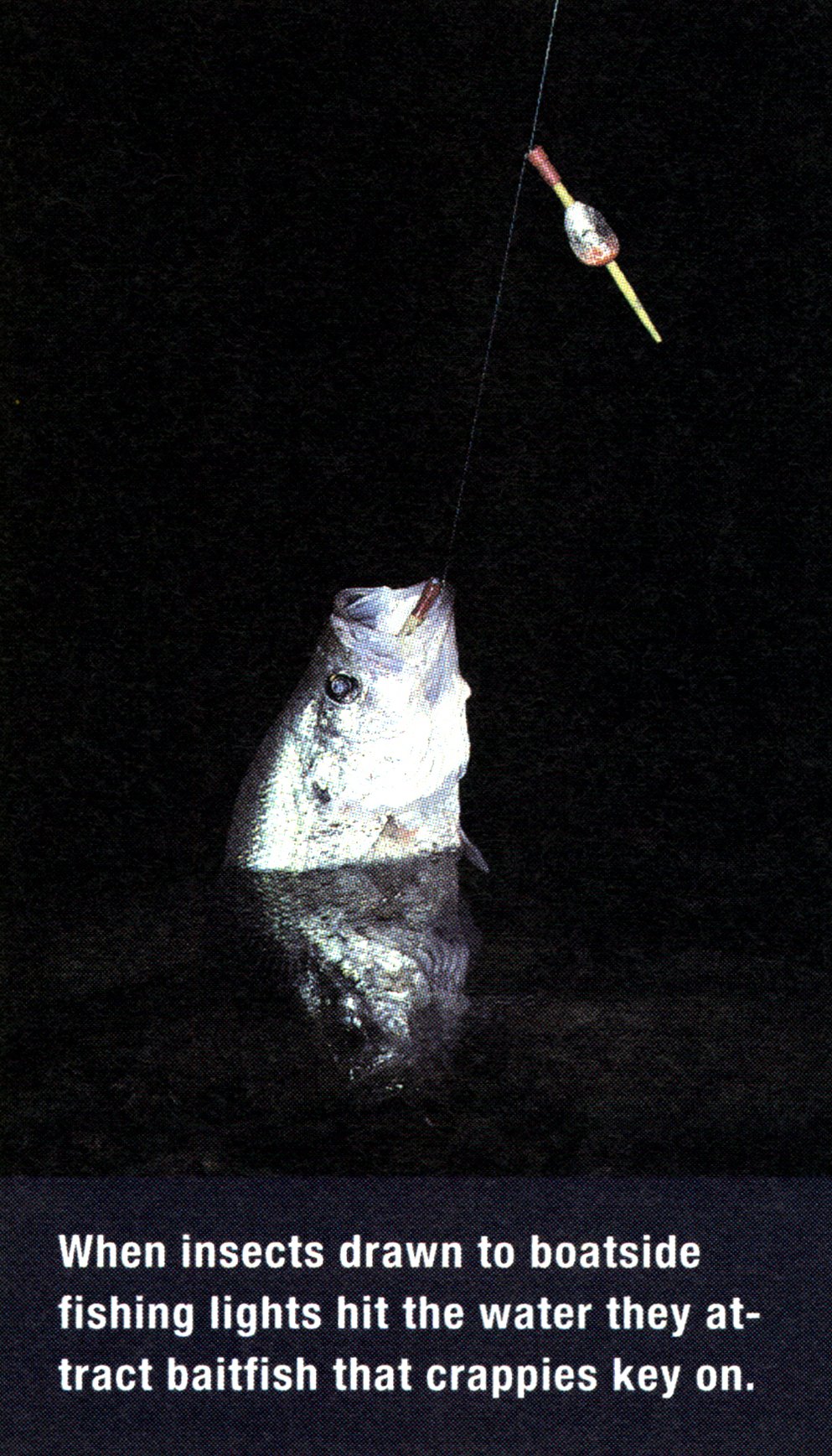 crappie fishing at night