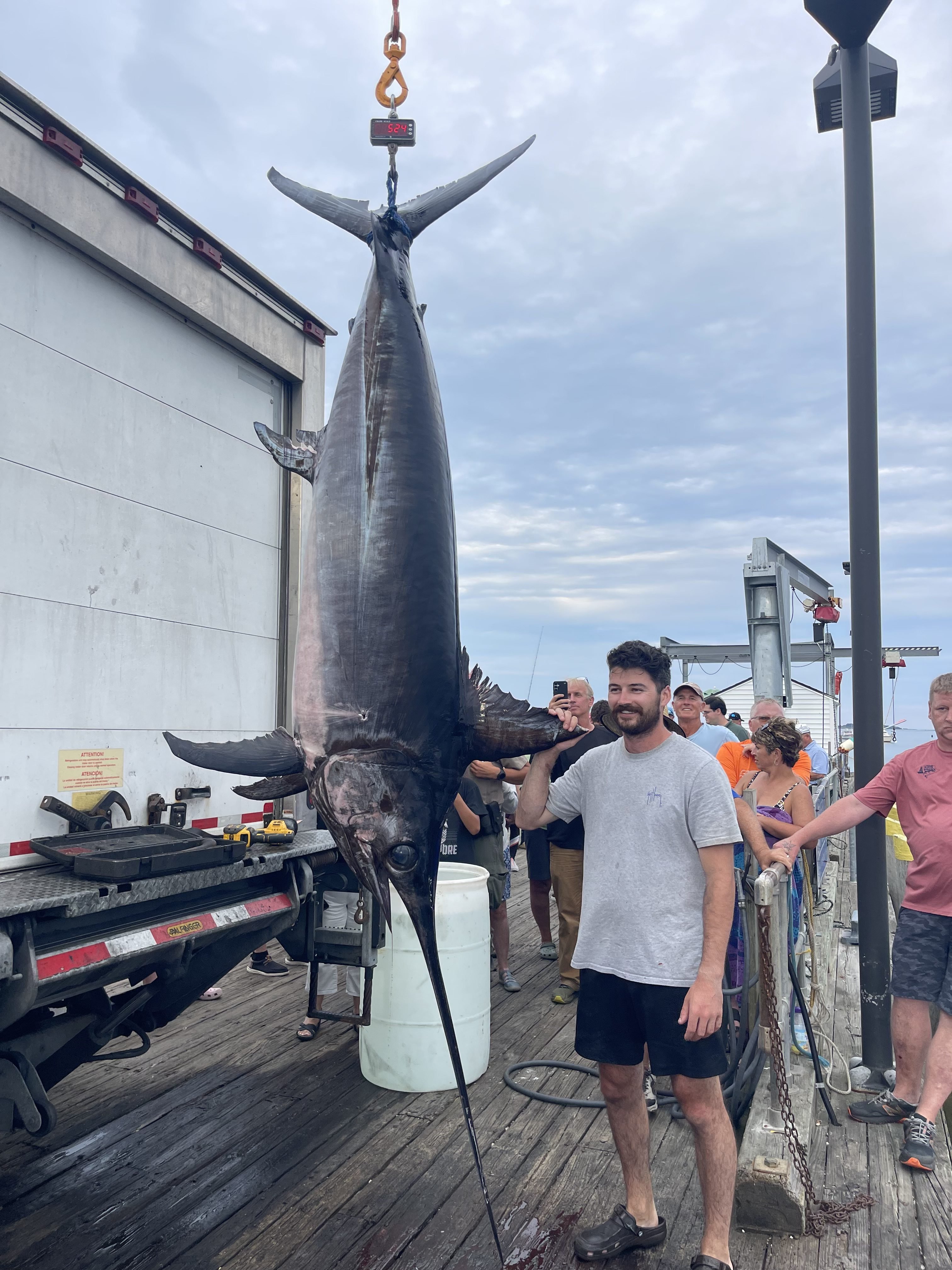 maine record swordfish