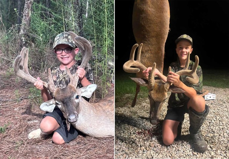 velvet bucks
