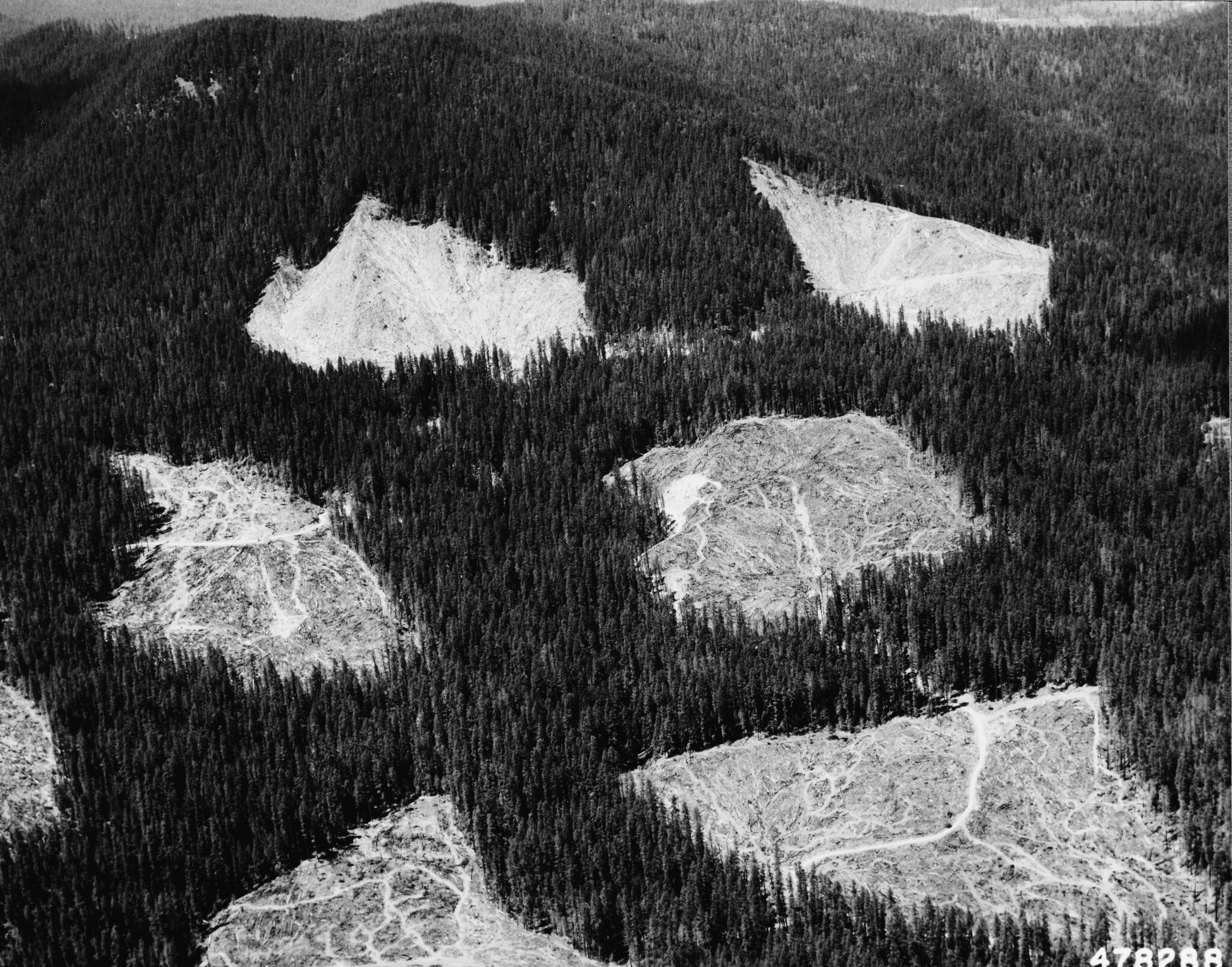 A vintage USFS forest service photo of clear cuts.