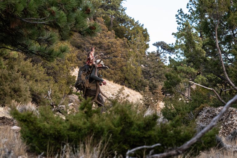 wyoming elk hunt