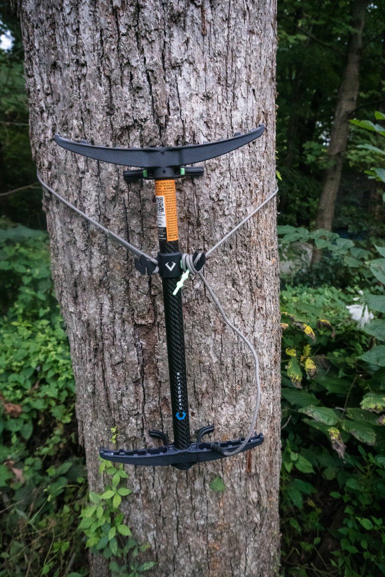 Carbonlite stick on a tree