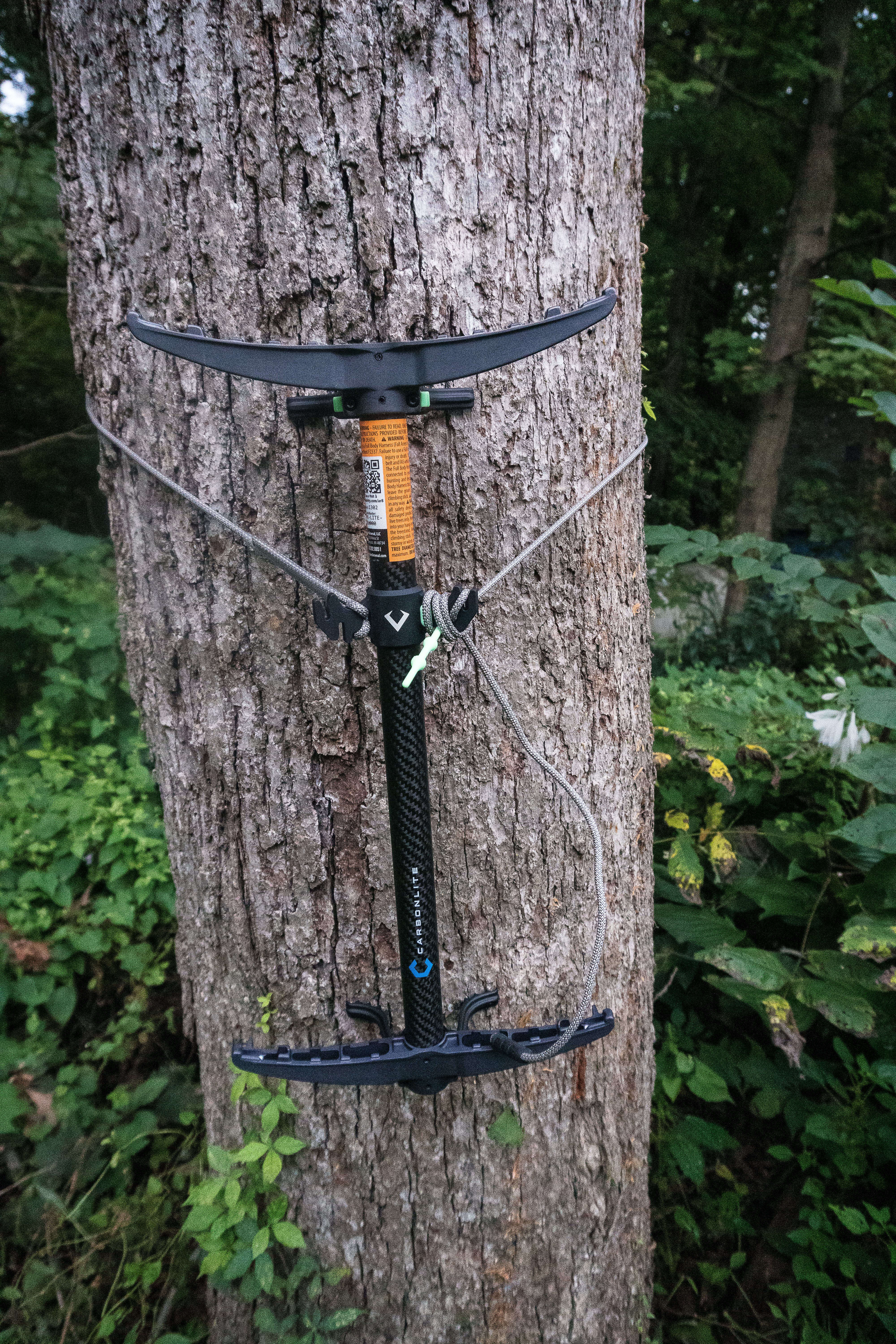 Carbonlite stick on a tree