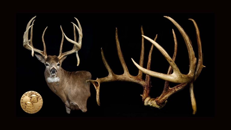 The largest whitetail ever shot in the US