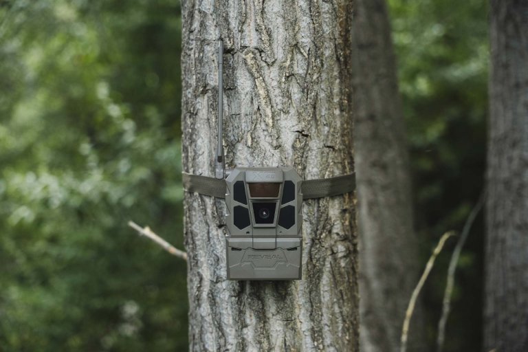 Tactacam’s New 4.0 Reveal Cameras