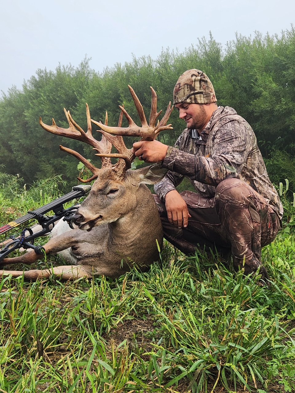ohio buck
