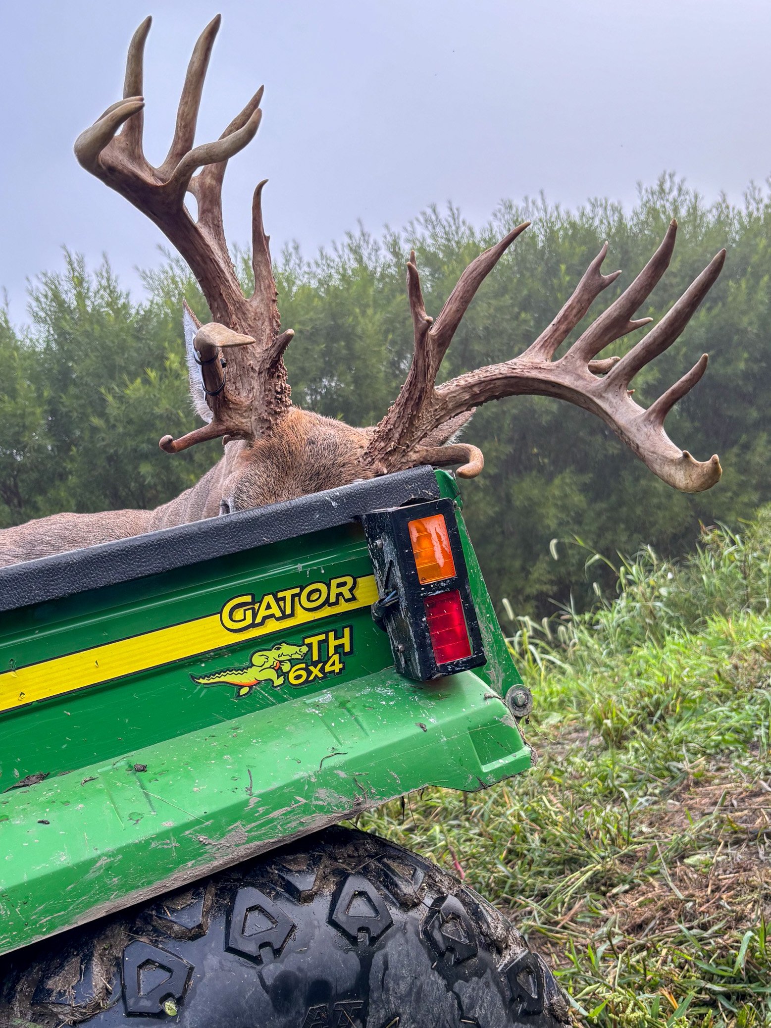 A buck loaded up in a John Deere gator.