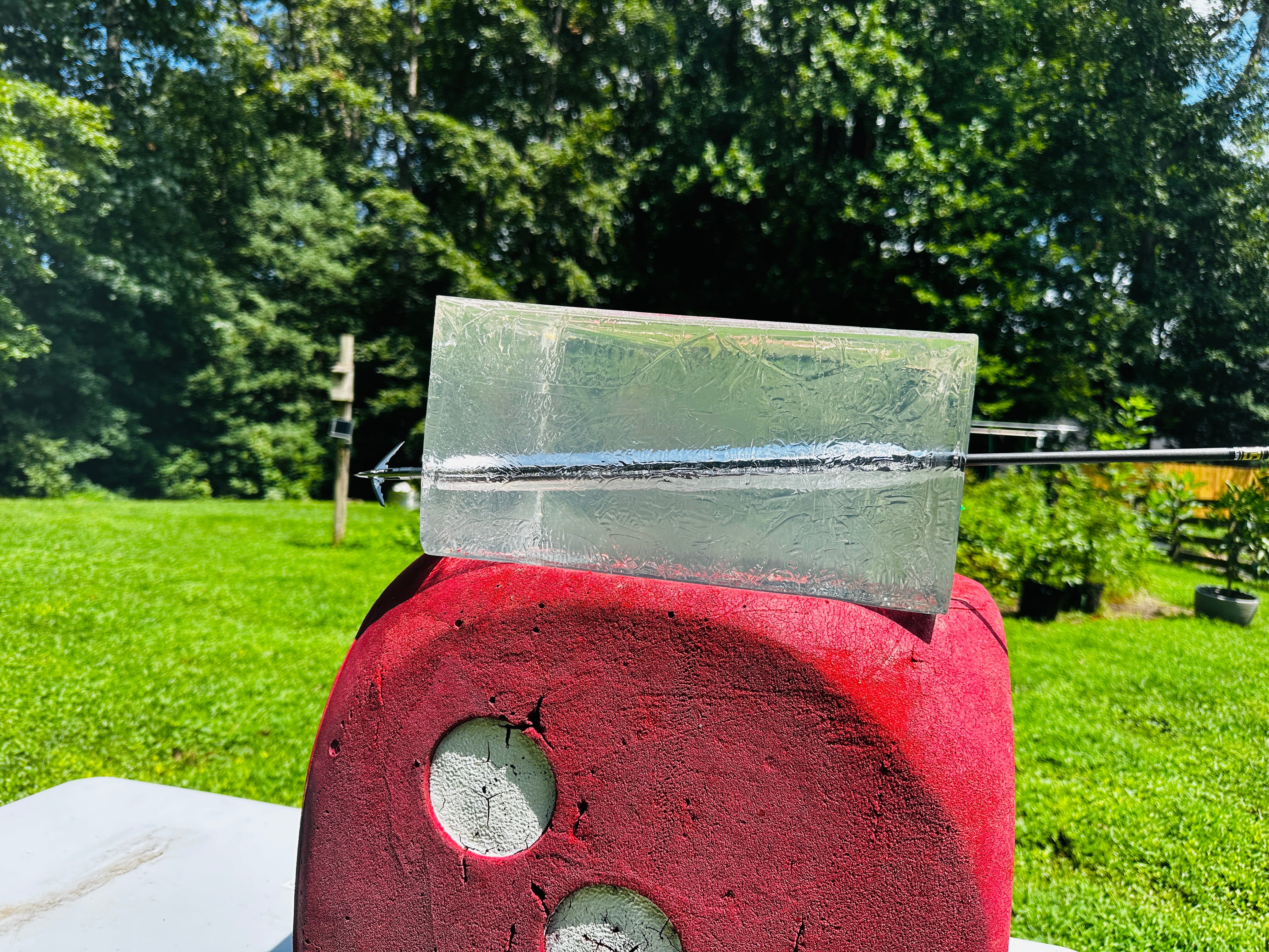 Beast broadhead in the gel
