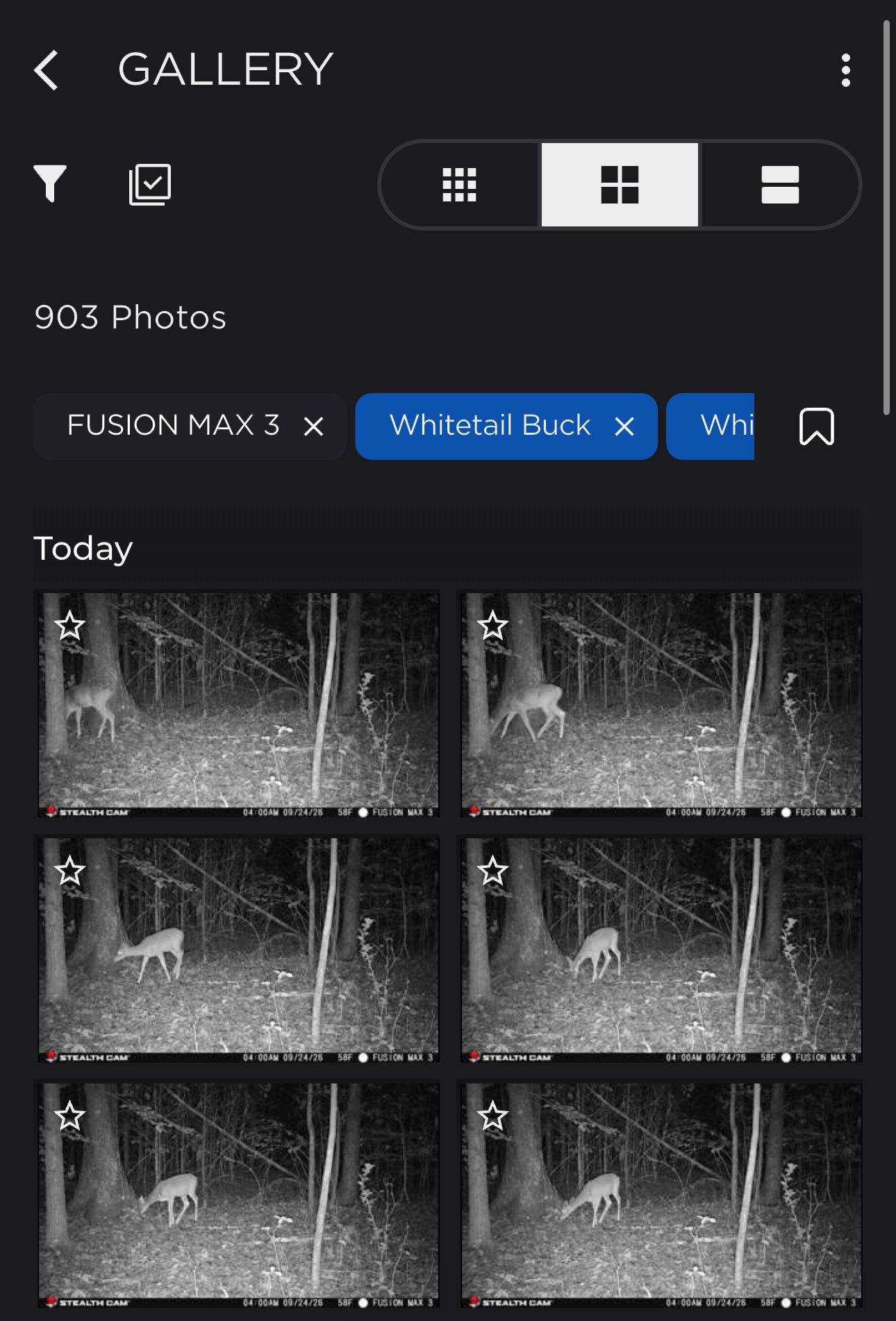 Stealth Cam app species filter.