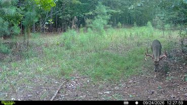 Tactacam in the field
