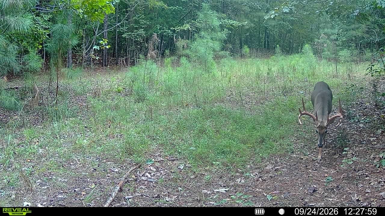 Tactacam in the field