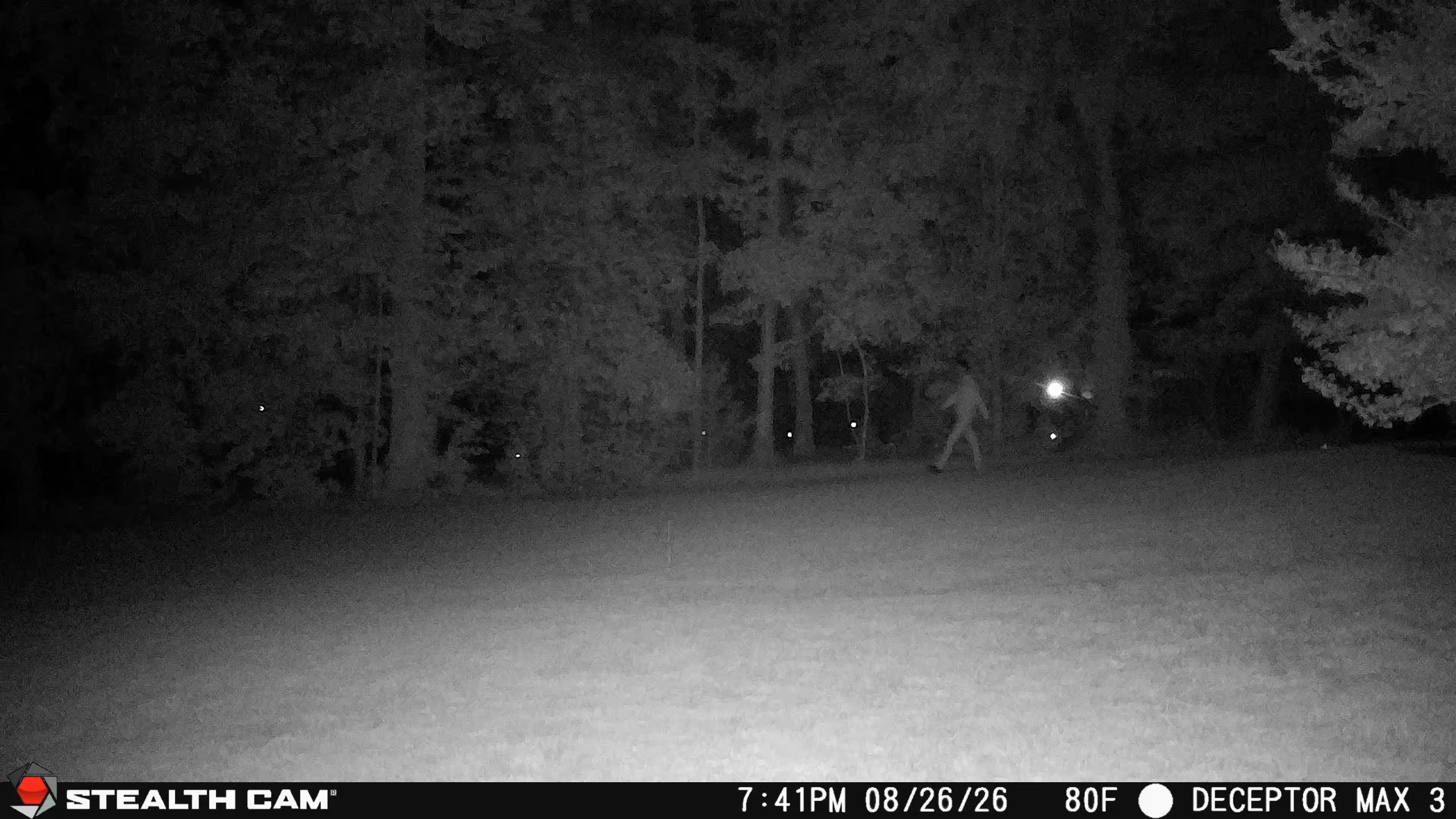 Trail Camera[MP:04][TP:080F]